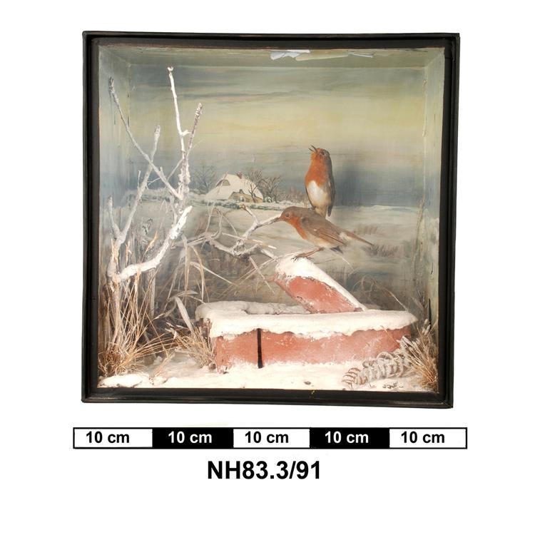 General view of object no. NH.83.3/91.