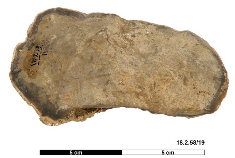General view of object no. 18.2.58/19.