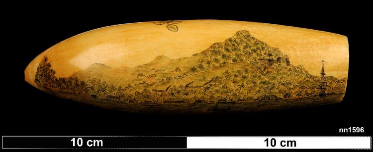 Image of engraving (art); scrimshaw