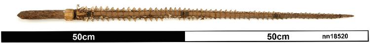 General view of object no. nn18520.
