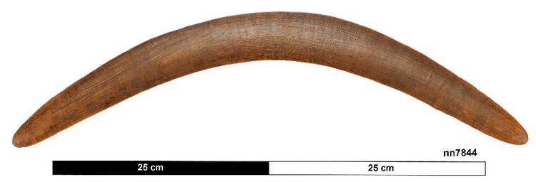 image of boomerang (general & multipurpose)
