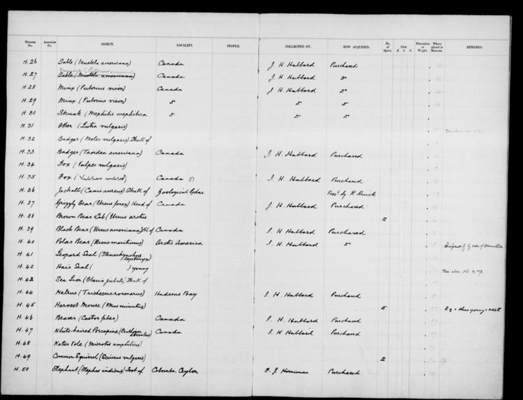 General view of page with entries for object nos H.26 - H.50 (1900) from 1900-1934 natural history accessions register, object no. ARC/HMG/CM/001/016.