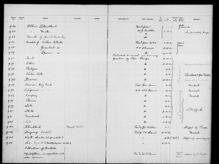 General view of page with entries for object nos 9.64 - 9.86 (1909) from 1900-1934 natural history accessions register, object no. ARC/HMG/CM/001/016.