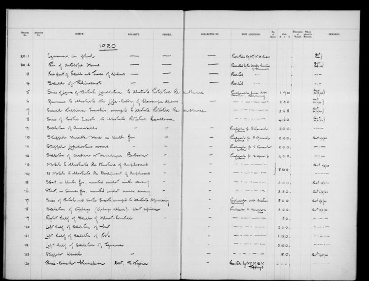General view of page with entries for object nos 20.1 - 20.24 (1920) from 1900-1934 natural history accessions register, object no. ARC/HMG/CM/001/016.