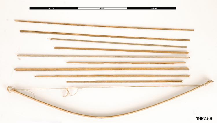 Image of bow (general & multipurpose); arrows