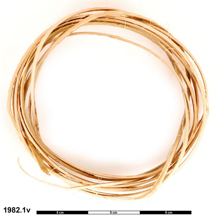 image of General view of object no. 1982.1v.