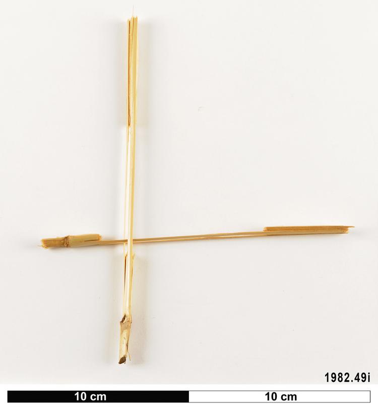 image of General view of object no. 1982.49i.