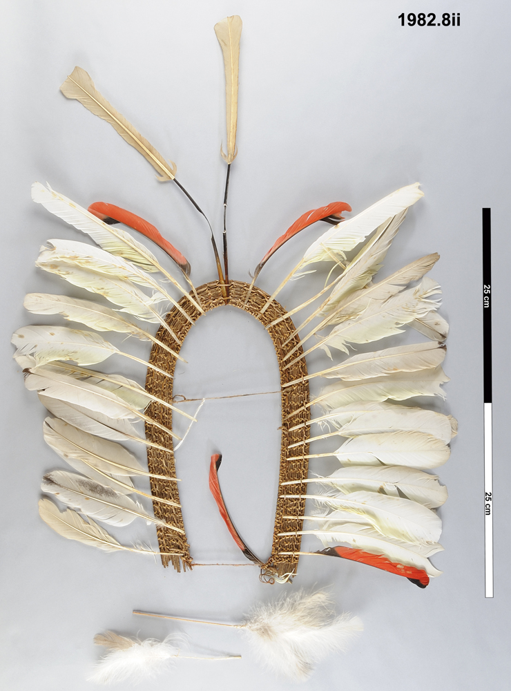 Image of component; natural objects; headdress (ceremonial artefacts & rank insignia)