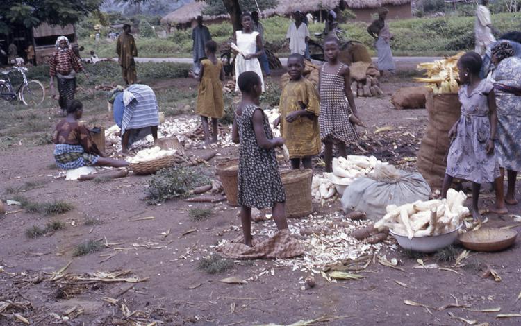 Image of Peeling cassava, wayside market