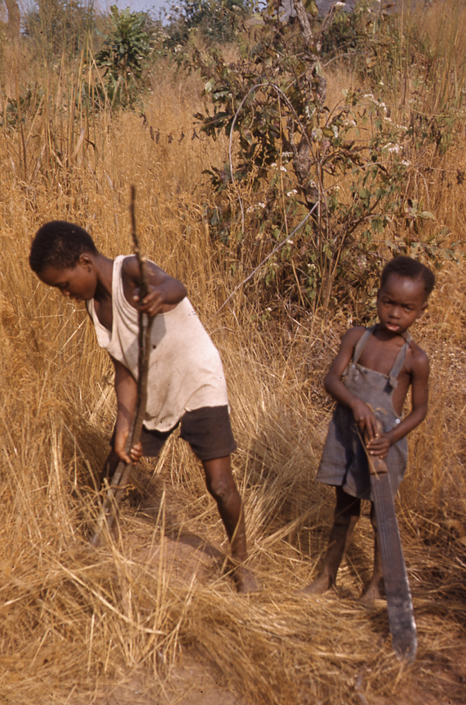 Image of Alfred and Tony hunting, Auchi