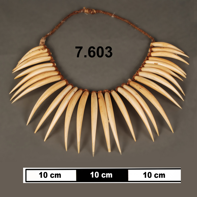 necklet (neck ornament (personal adornment))