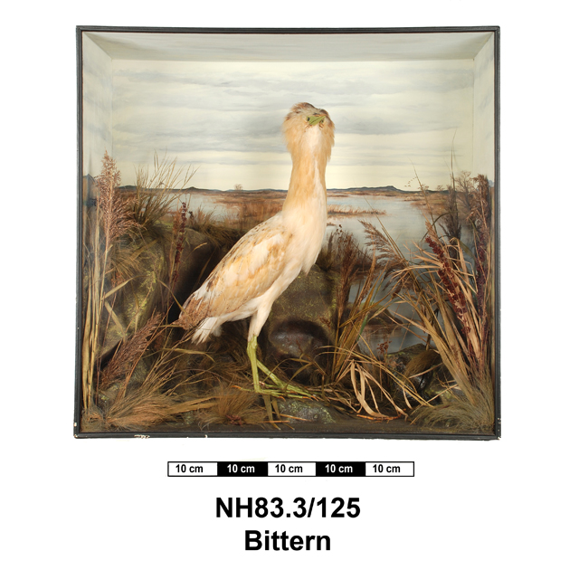 General view of object no. NH.83.3/125.