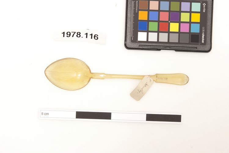 spoon (food processing & storage)