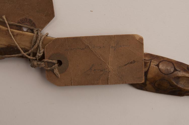 Frontal view of label of Horniman Museum object no nn450