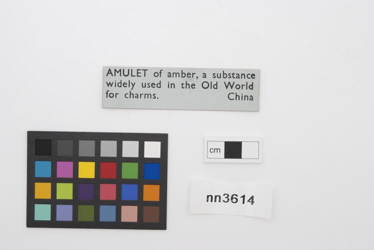 General view of label of Horniman Museum object no nn3614