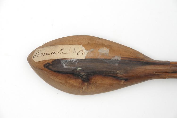 Detail view of label of Horniman Museum object no 1891a