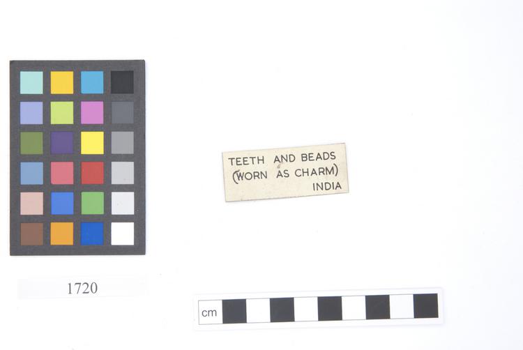 General view of label of Horniman Museum object no 1720
