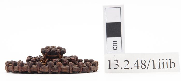 General view of whole of Horniman Museum object no 13.2.48/1iiib