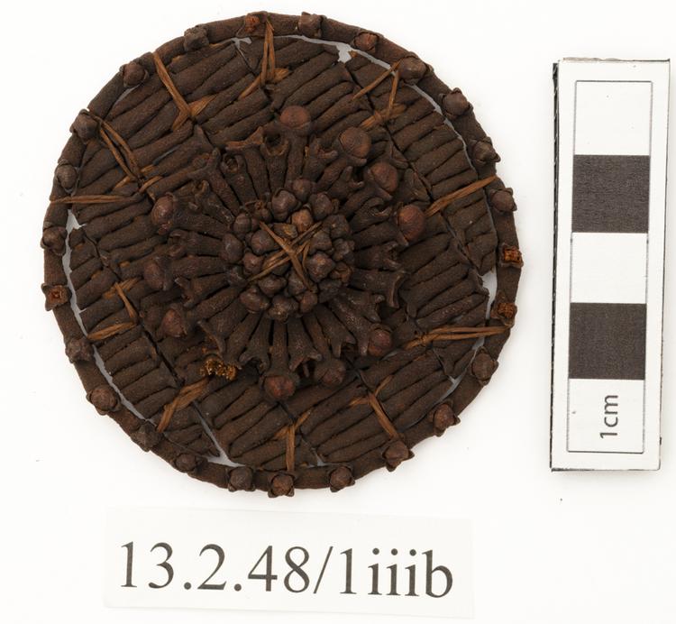 Top view of whole of Horniman Museum object no 13.2.48/1iiib
