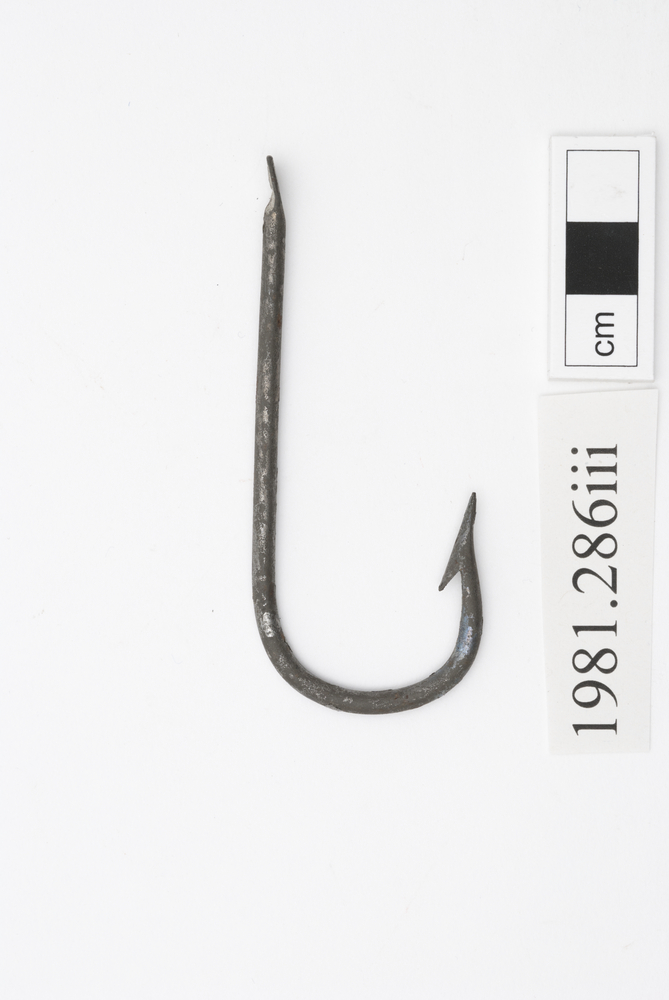 Image of fish hook