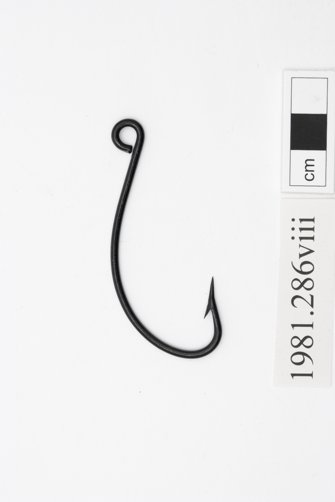 Image of fish hook