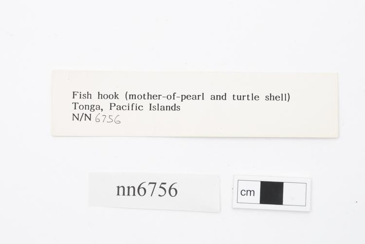 General view of label of Horniman Museum object no nn6756
