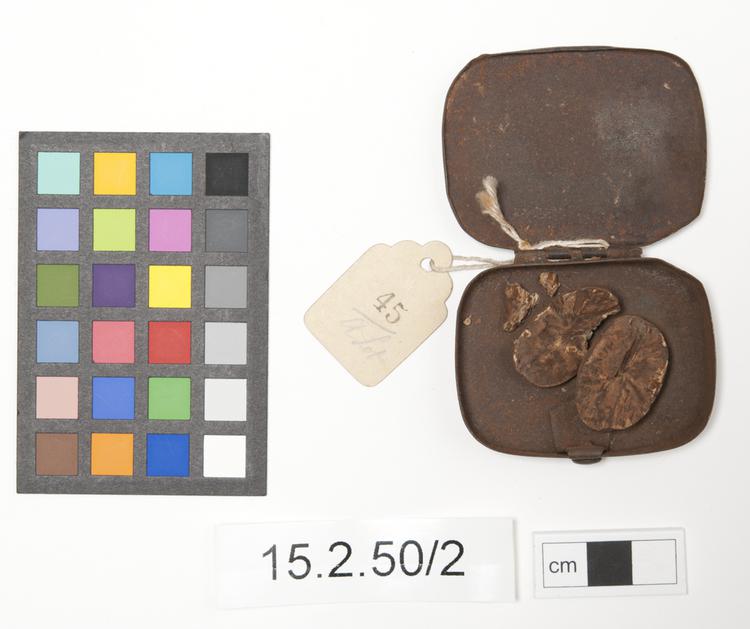 Interal view of opened out box showing contents of Horniman Museum object no 15.2.50/2