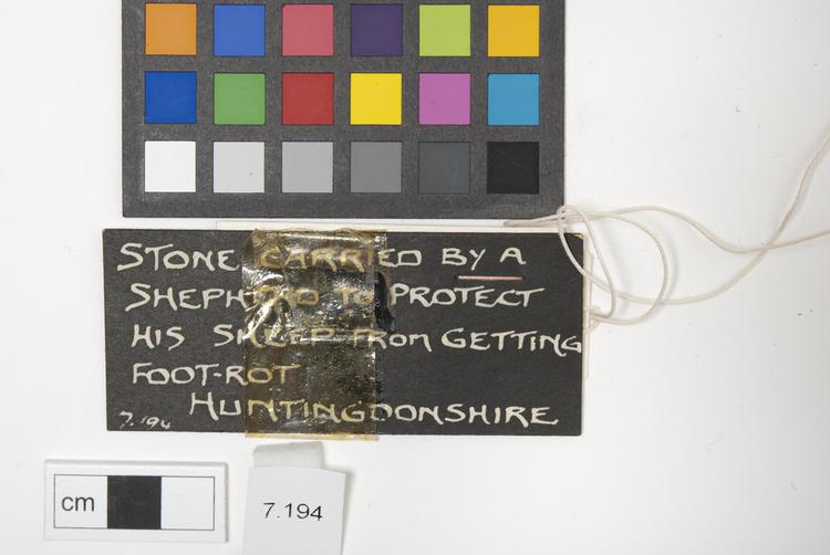 General view of label of Horniman Museum object no 7.194