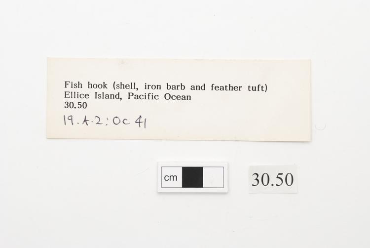 General view of label of Horniman Museum object no 30.50