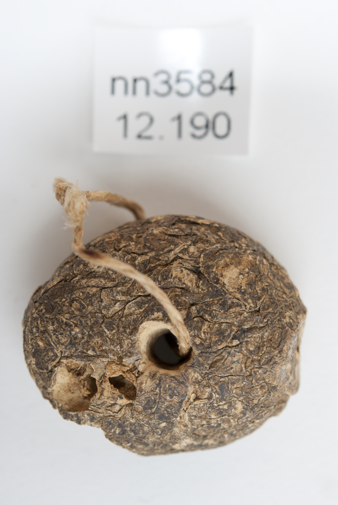 General view of whole of Horniman Museum object no 12.190