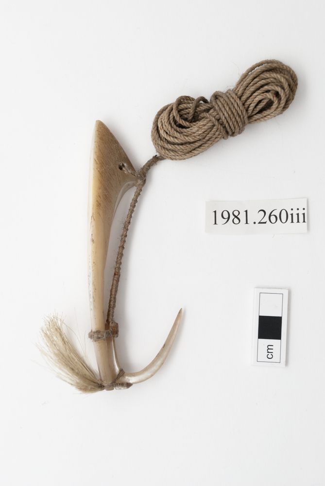General view of whole of Horniman Museum object no 1981.260iii