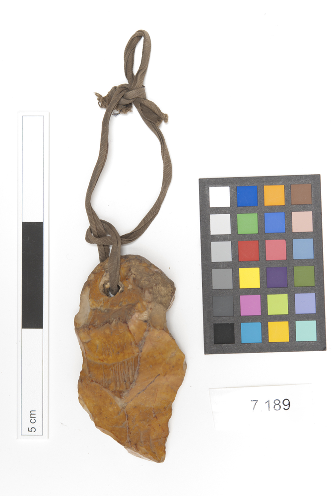 General view of whole of Horniman Museum object no 7.189