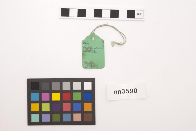 General view of label of Horniman Museum object no nn3590