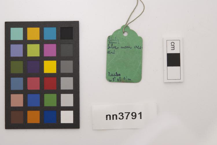 General view of label of Horniman Museum object no nn3791