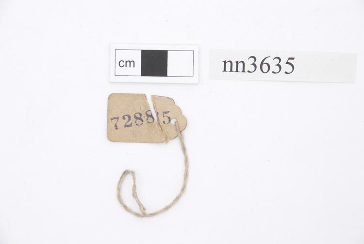 General view of label of Horniman Museum object no nn3635