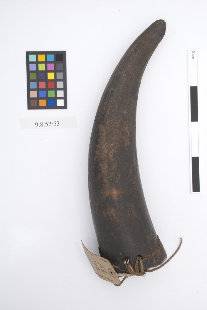 Rear view of whole of Horniman Museum object no 9.8.52/53