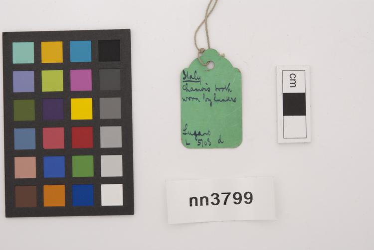 General view of label of Horniman Museum object no nn3799