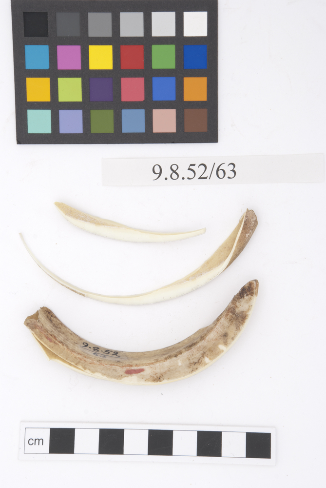 Frontal view of whole of Horniman Museum object no 9.8.52/63