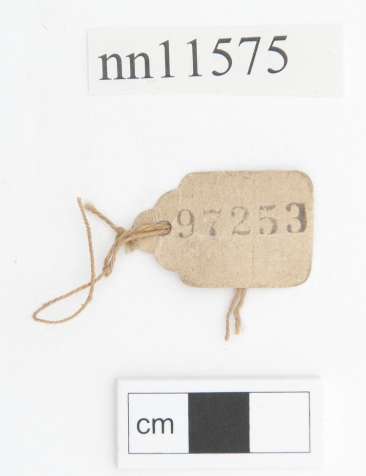 General view of label of Horniman Museum object no nn11575