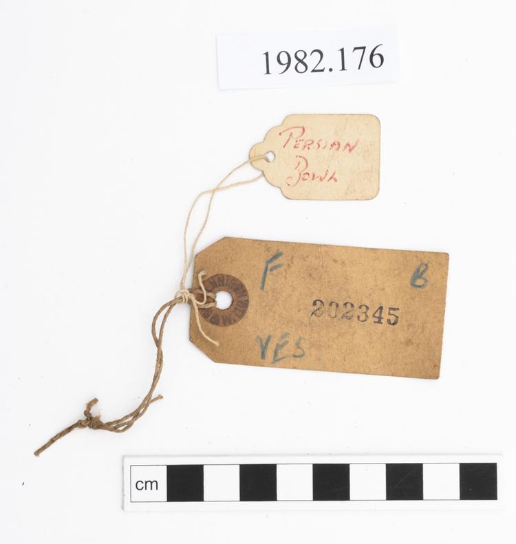 Frontal view of label of Horniman Museum object no 1982.176