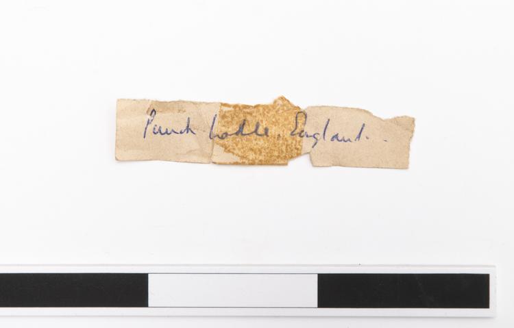General view of label of Horniman Museum object no nn647