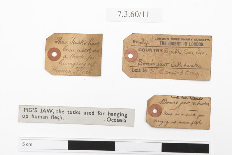 General view of label of Horniman Museum object no 7.3.60/11