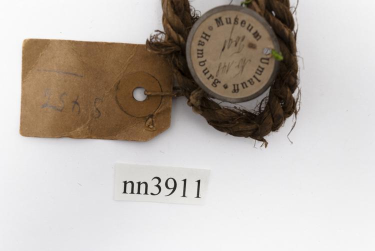 Frontal view of label of Horniman Museum object no nn3911