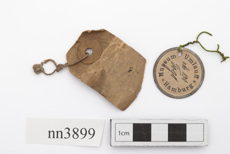 Frontal view of label of Horniman Museum object no nn3899