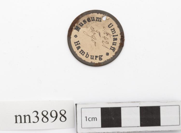 Frontal view of label of Horniman Museum object no nn3898