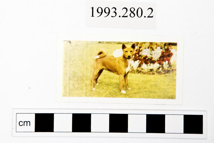 image of Frontal view of whole of Horniman Museum object no 1993.280.2