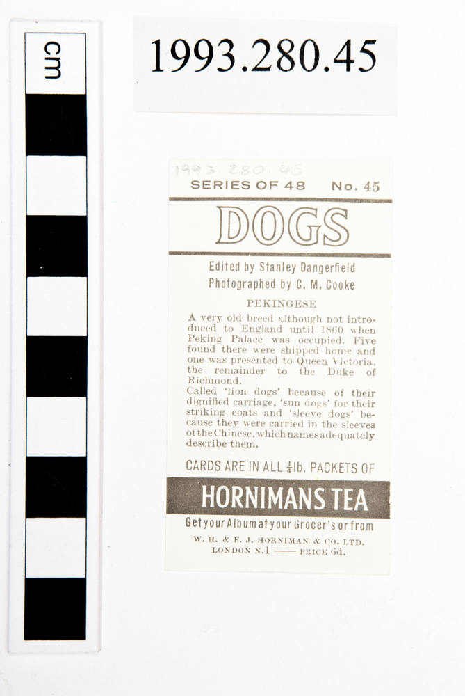 Rear view of whole of Horniman Museum object no 1993.280.45