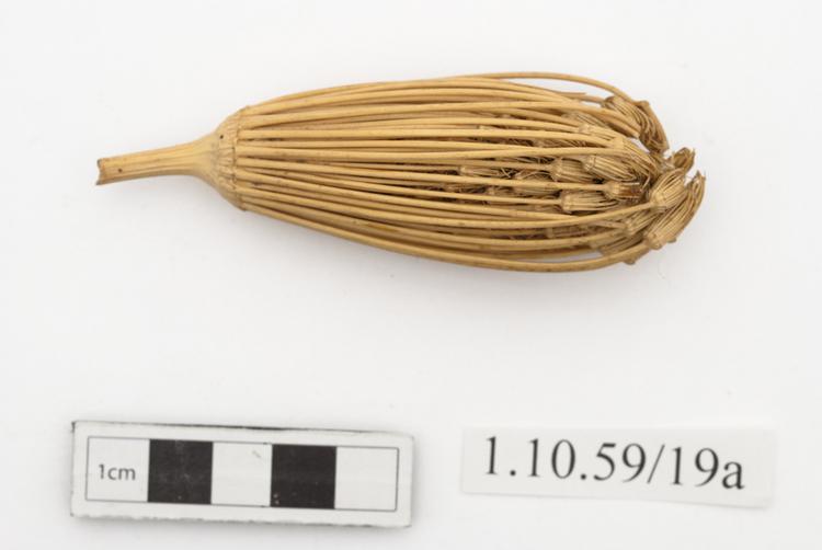 General view of whole of Horniman Museum object no 1.10.59/19a