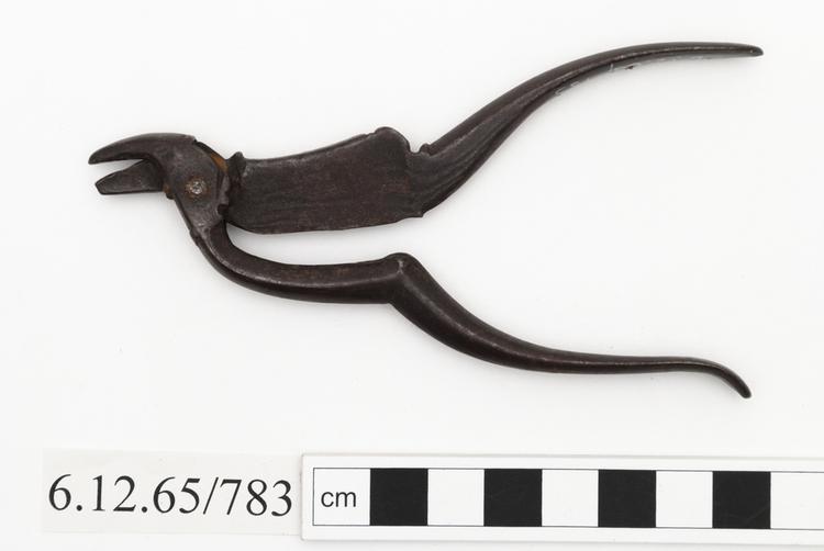 Areca Nut Cutter - P974  Collections - Penn Museum