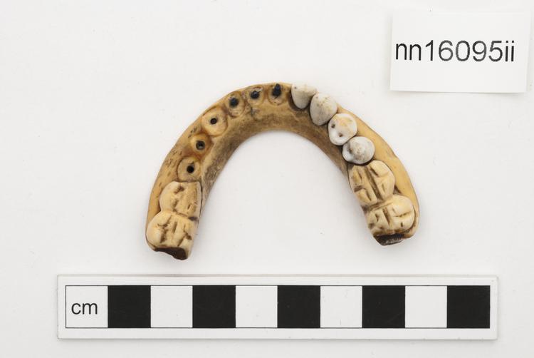 Top view of whole of Horniman Museum object no nn16095ii